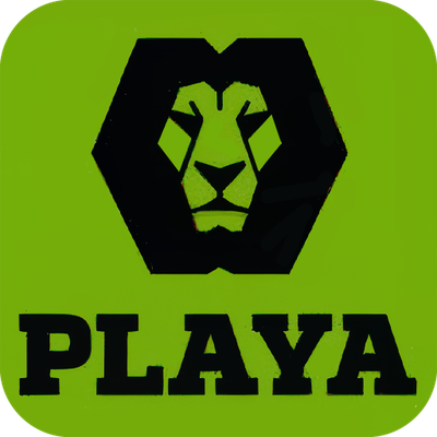 Playabets logo